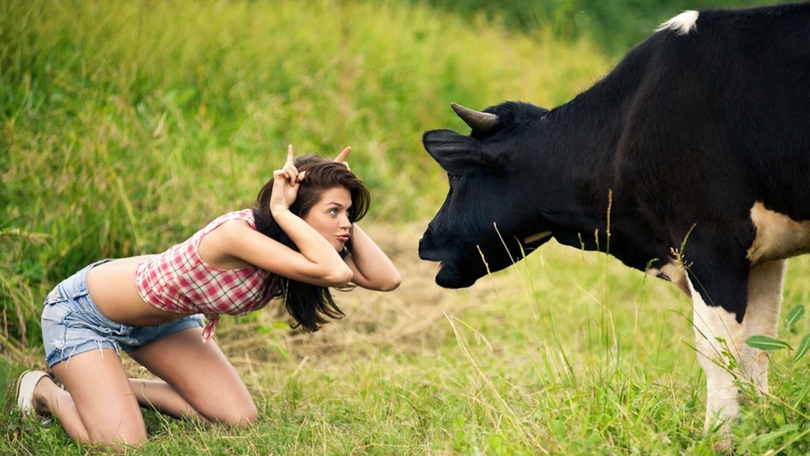 Cow man sexphotos sexual photo