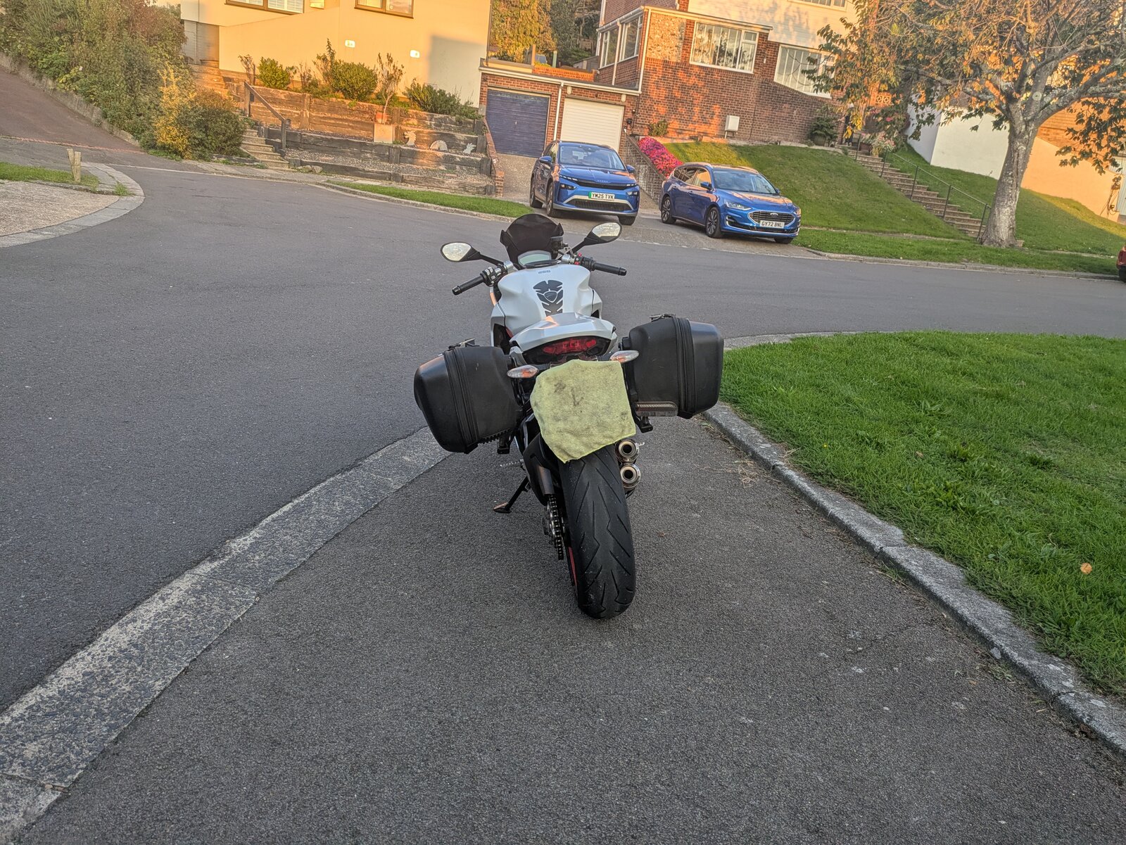 1000010186.jpg