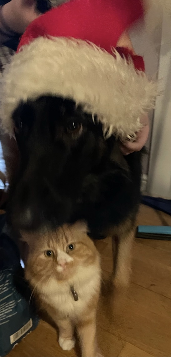 1F311A49-196C-4C7B-8313-F03E3A9D129E.jpeg