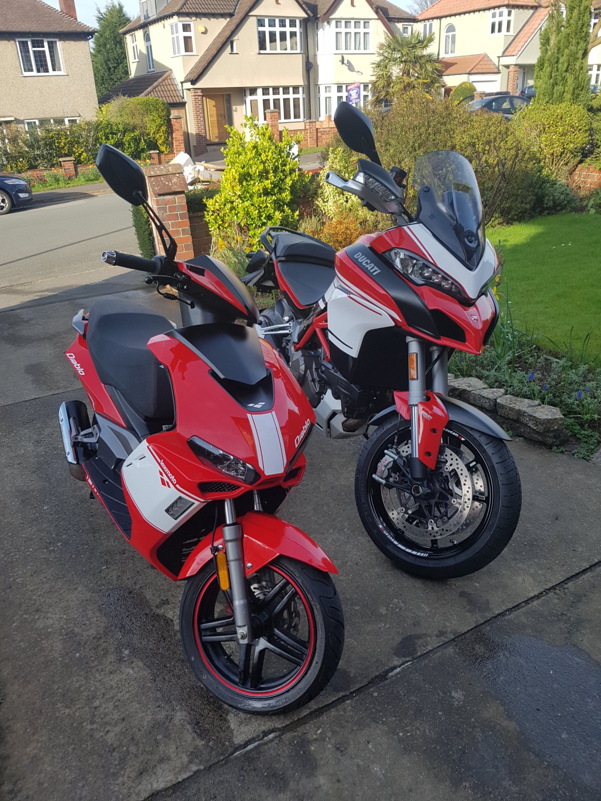 Ducati moped online