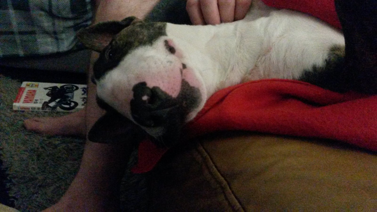 20170329_194019.jpg