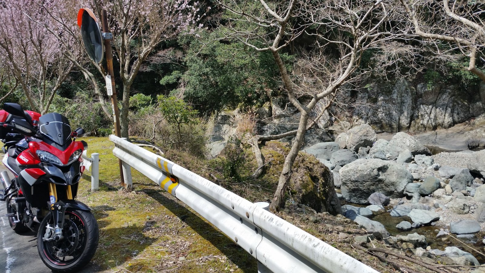 20170405_111450.jpg