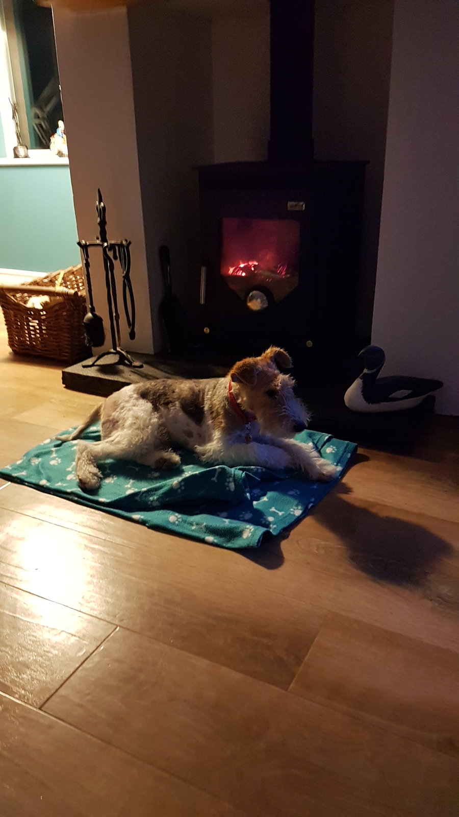 20170923_204904.jpg