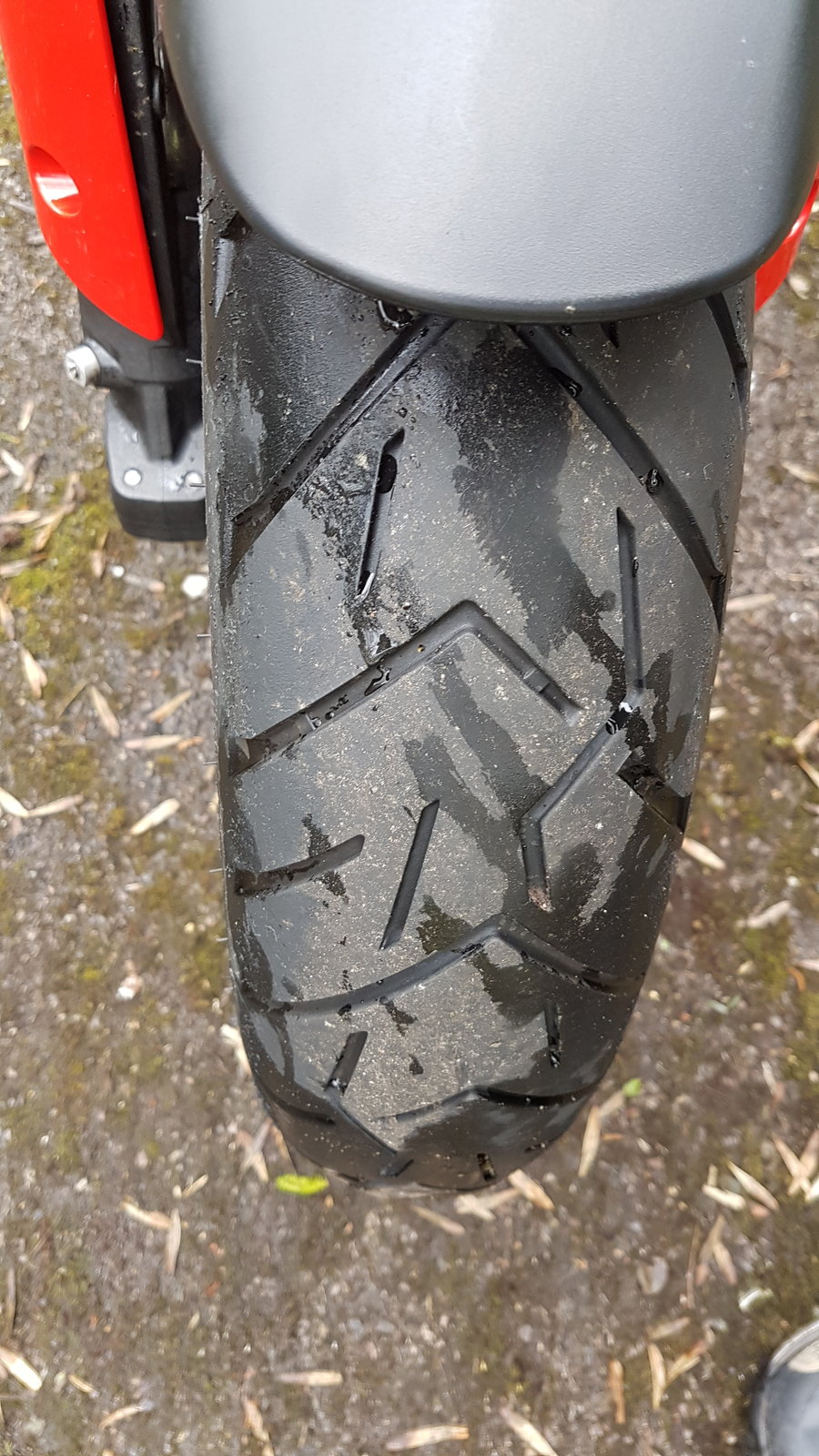 20180401_142239.jpg