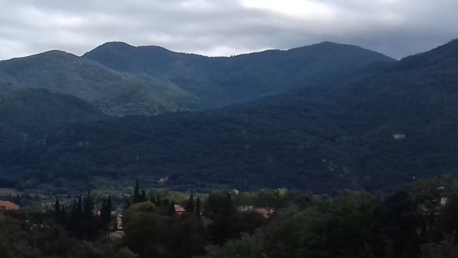 20180914_132550.jpg