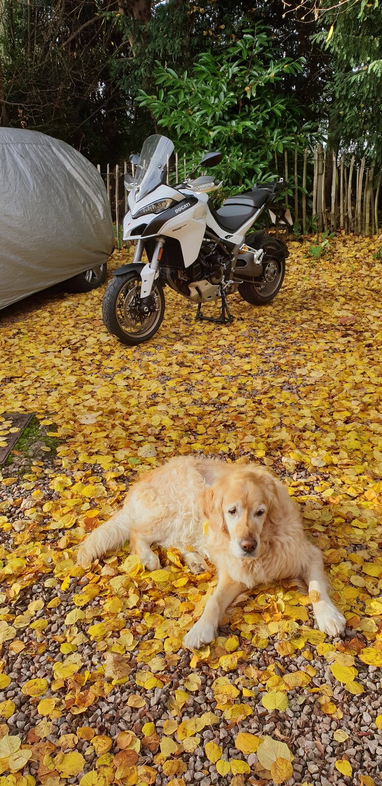20181114_103634.jpg