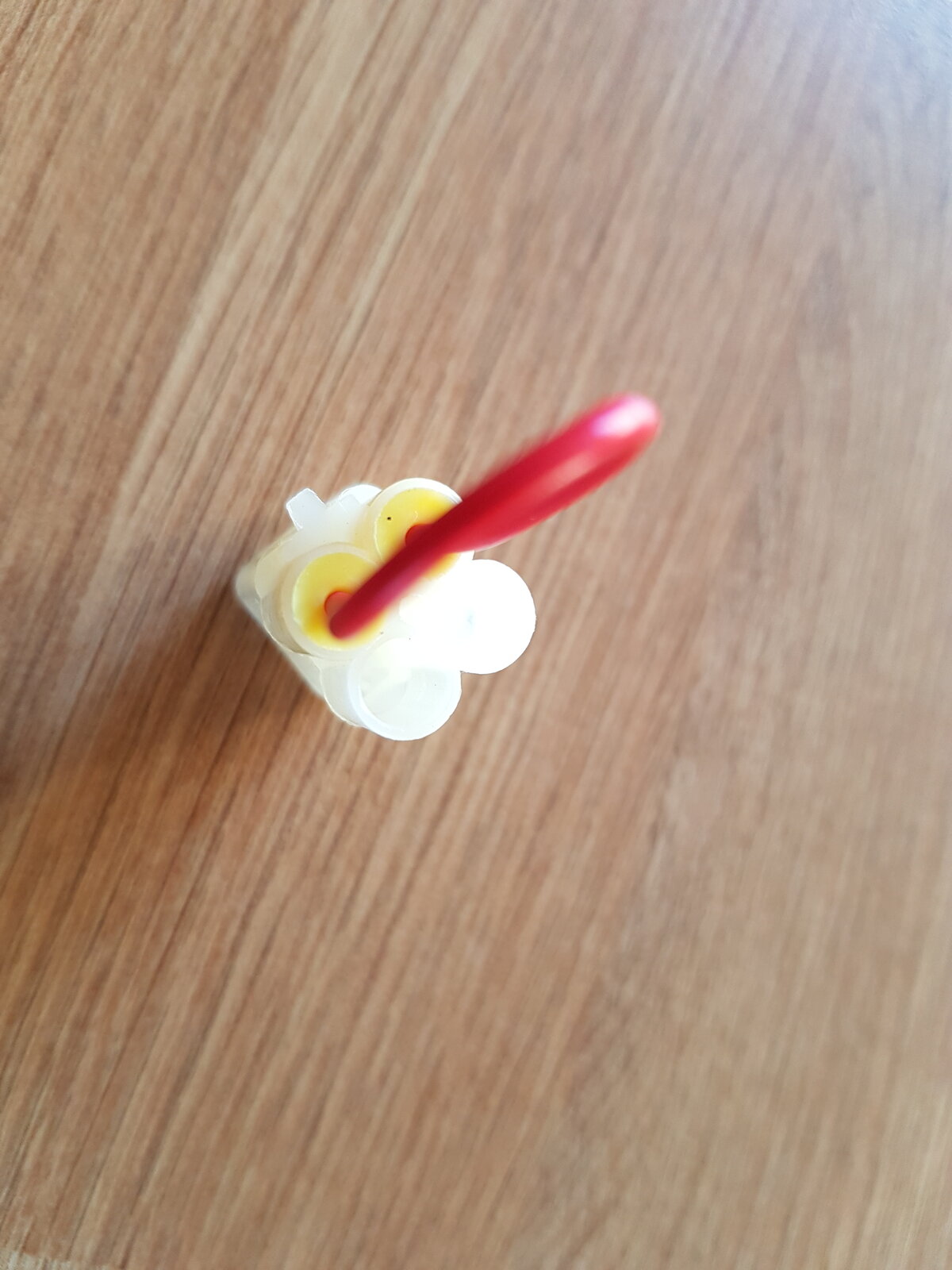 20190123_110544.jpg