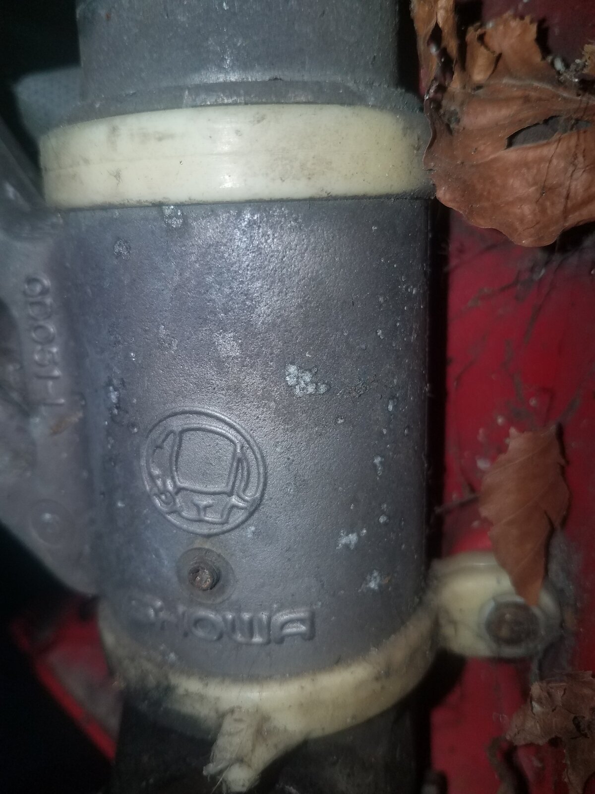 20190208_151932[1].jpg