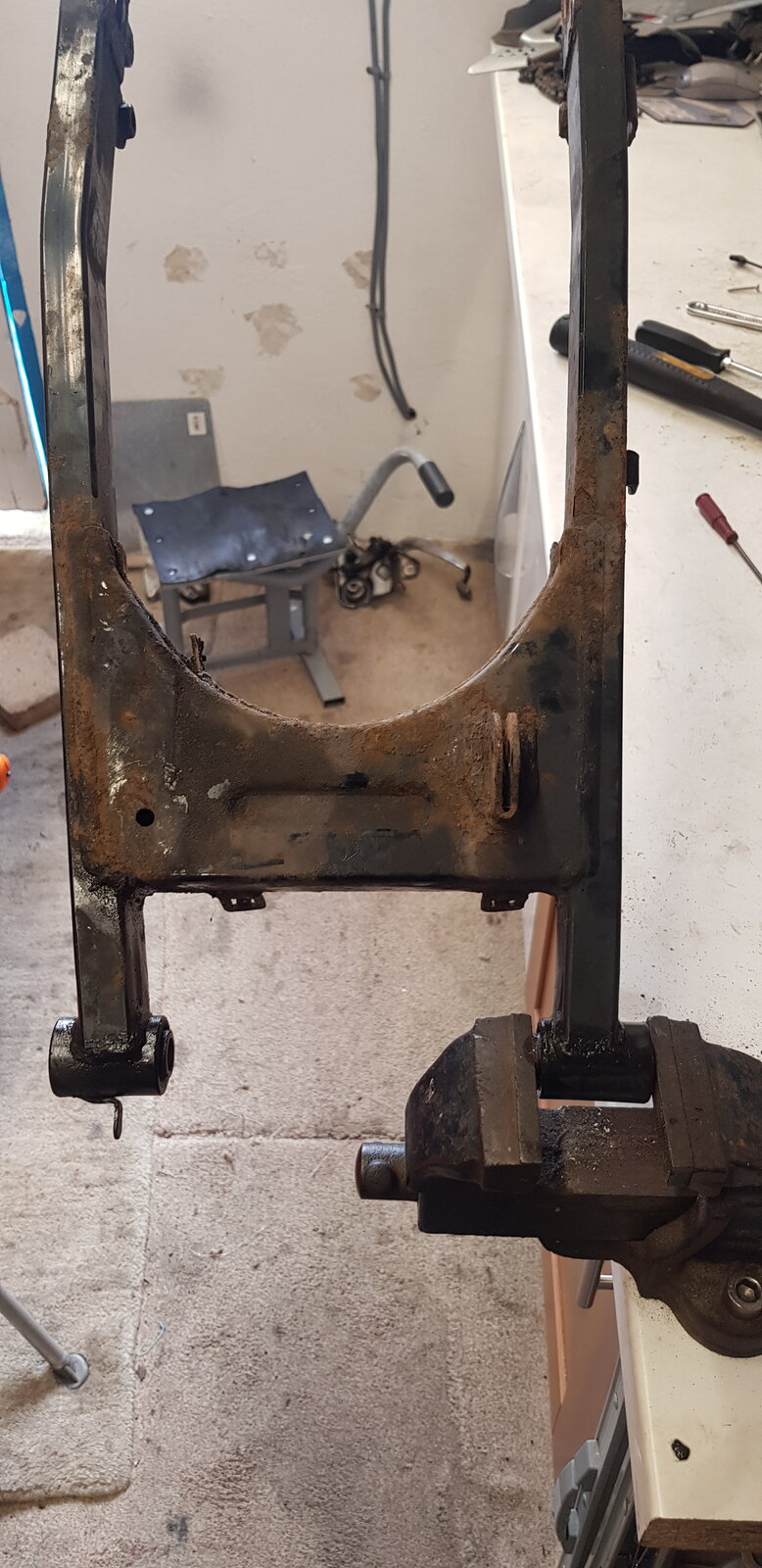 20190317_102937.jpg
