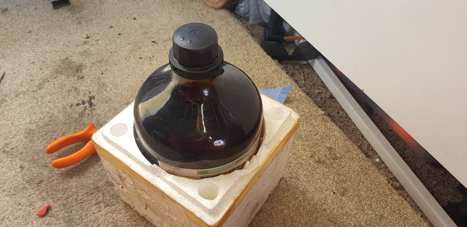 20190323_112106.jpg