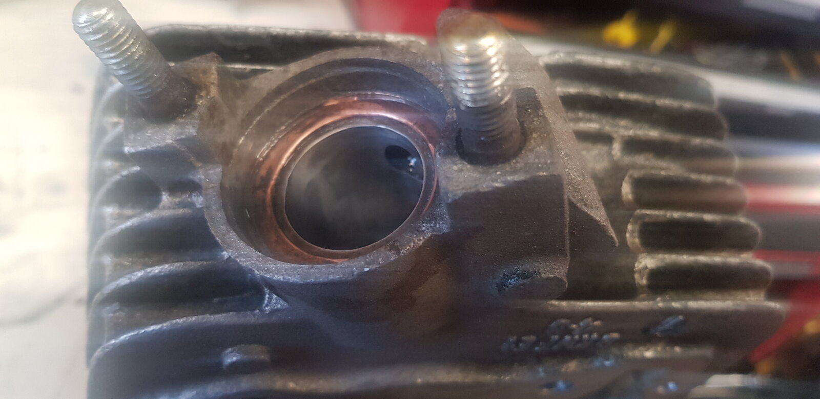 20190324_141645.jpg