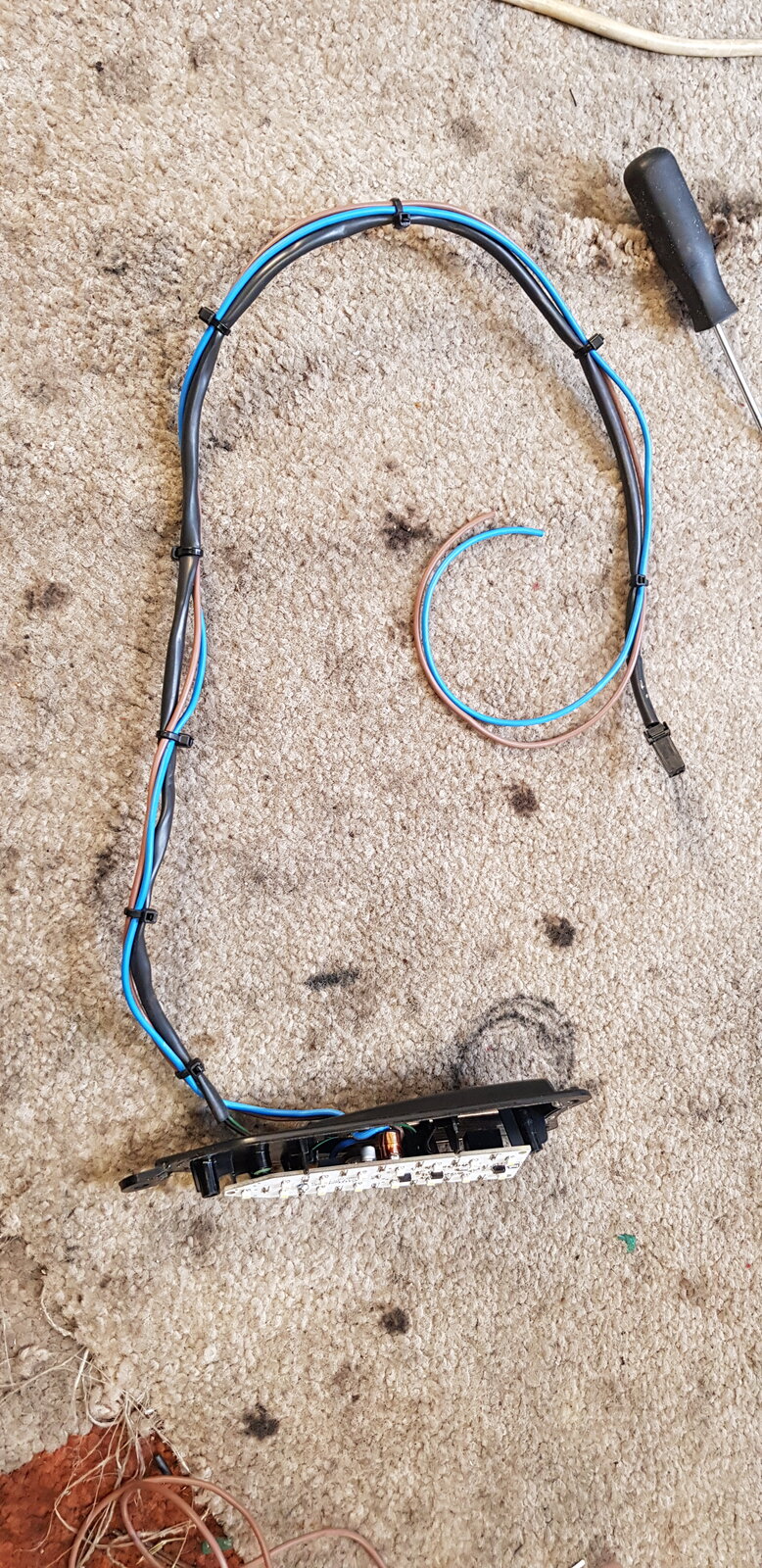 20190331_114718.jpg