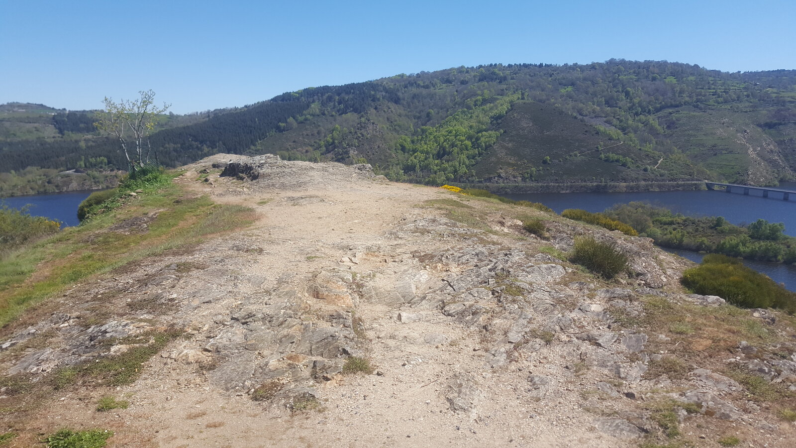 20190515_114303.jpg