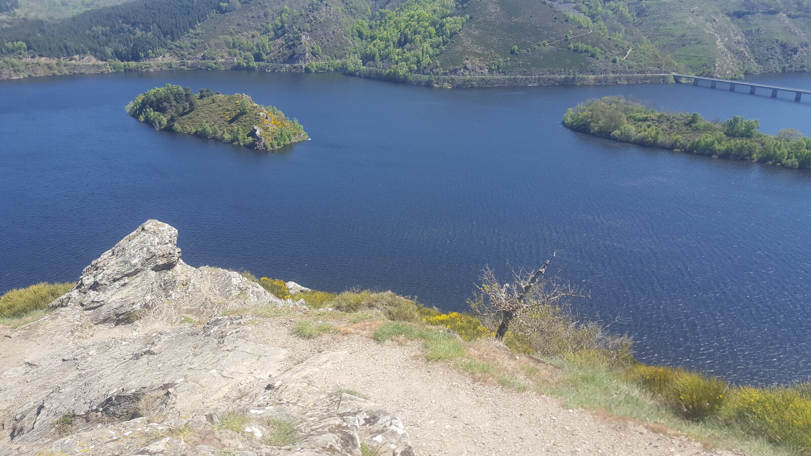 20190515_114338.jpg