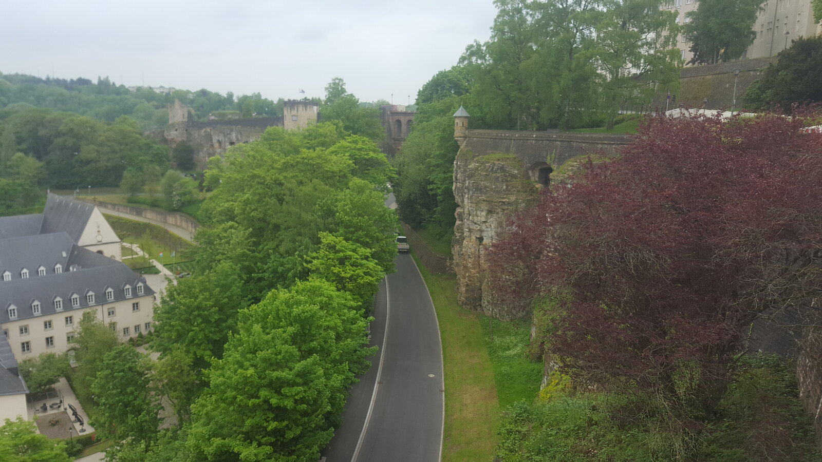 20190521_154731.jpg
