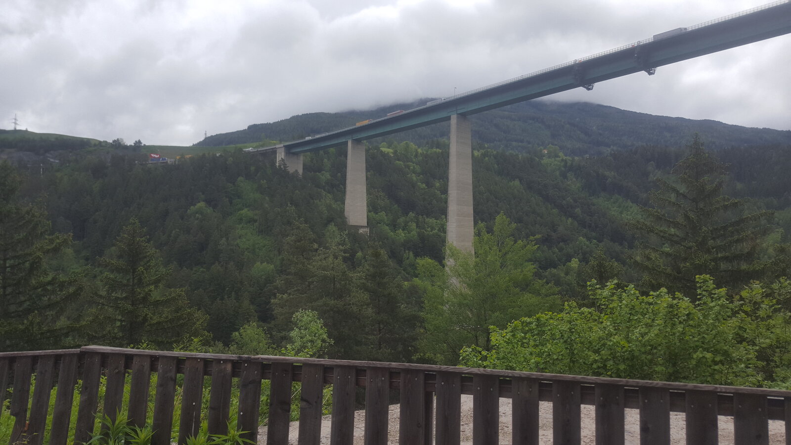 20190529_094802.jpg