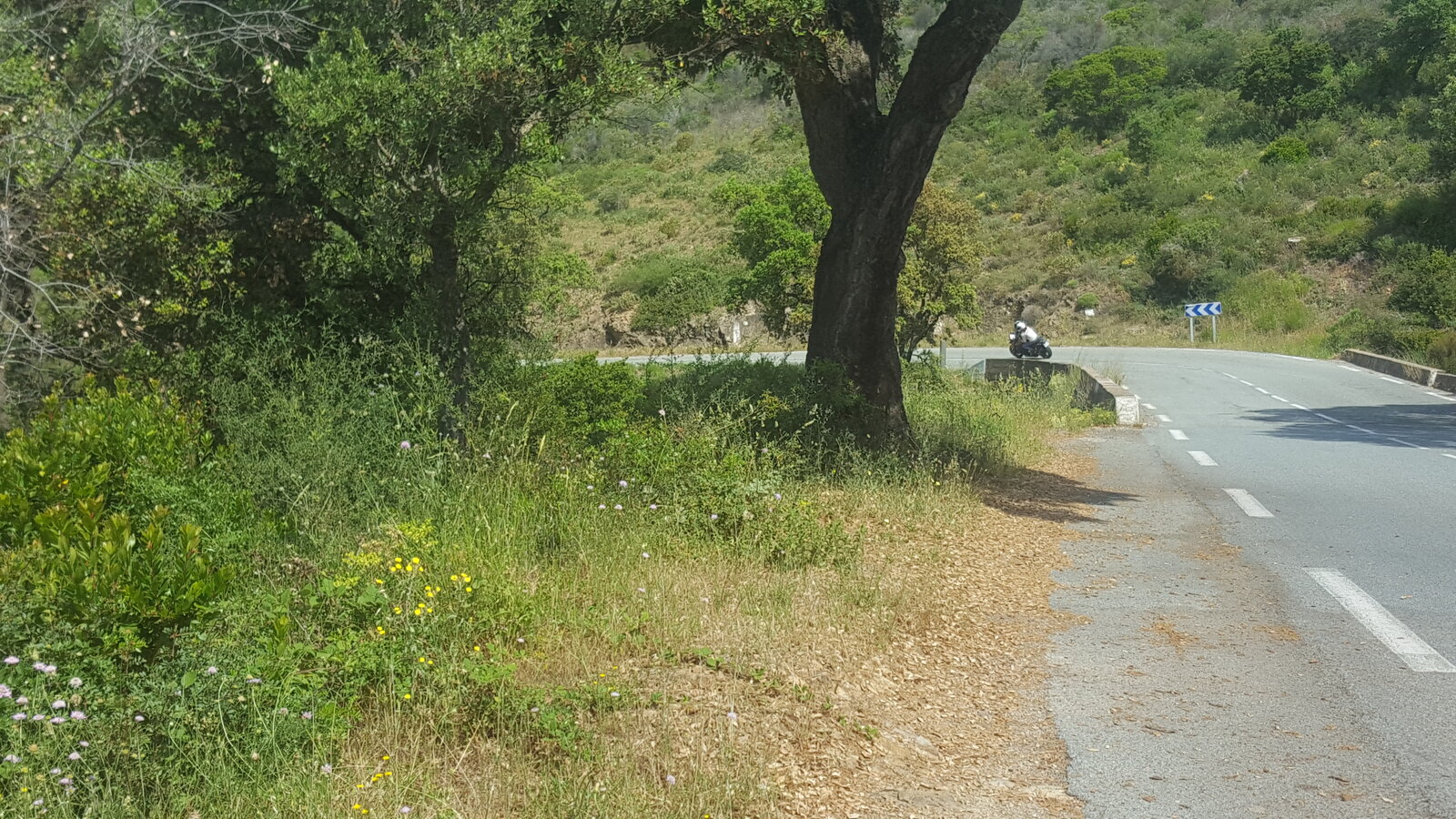 20190606_111502.jpg