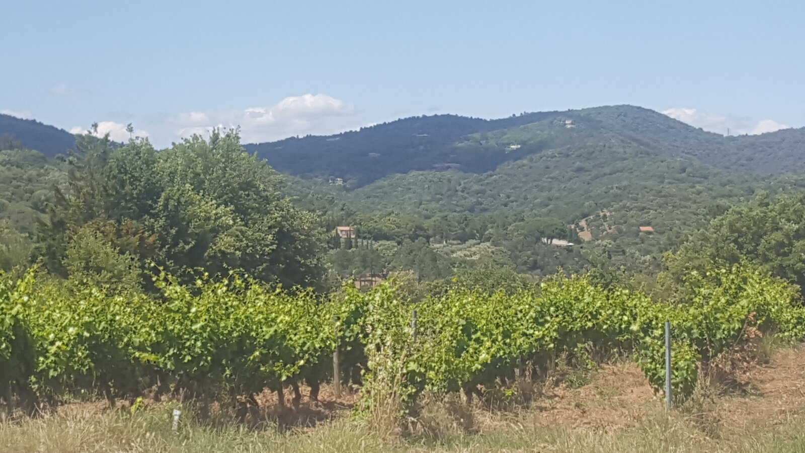 20190606_145937.jpg