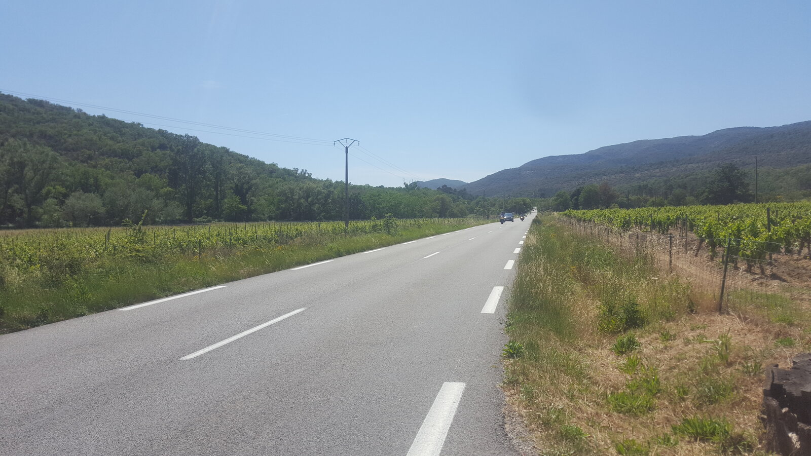 20190606_152939.jpg