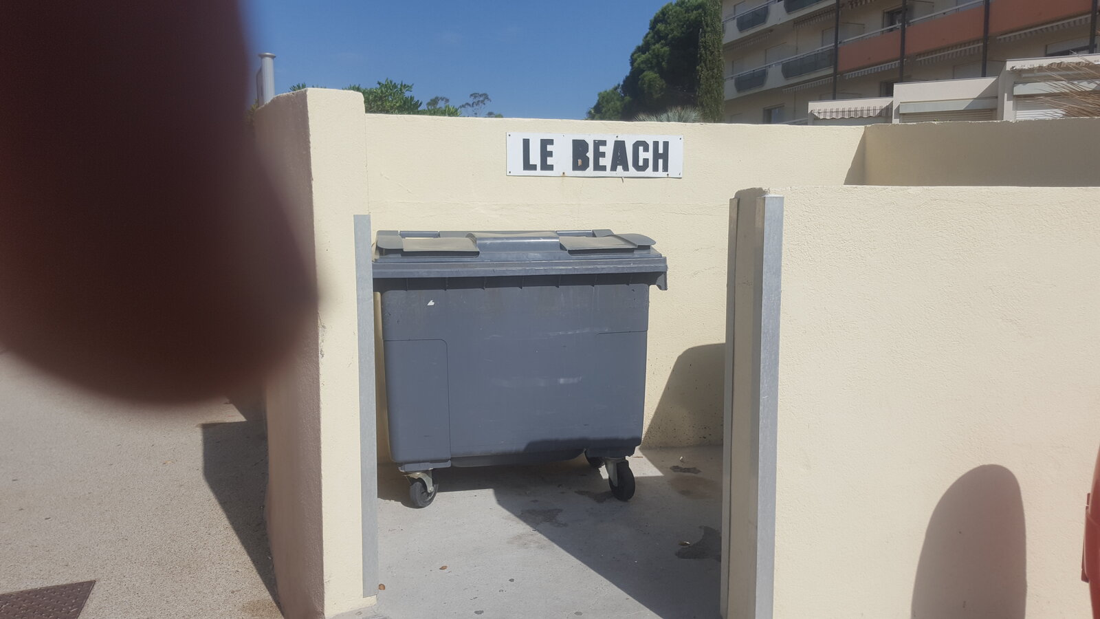 20190607_094916.jpg