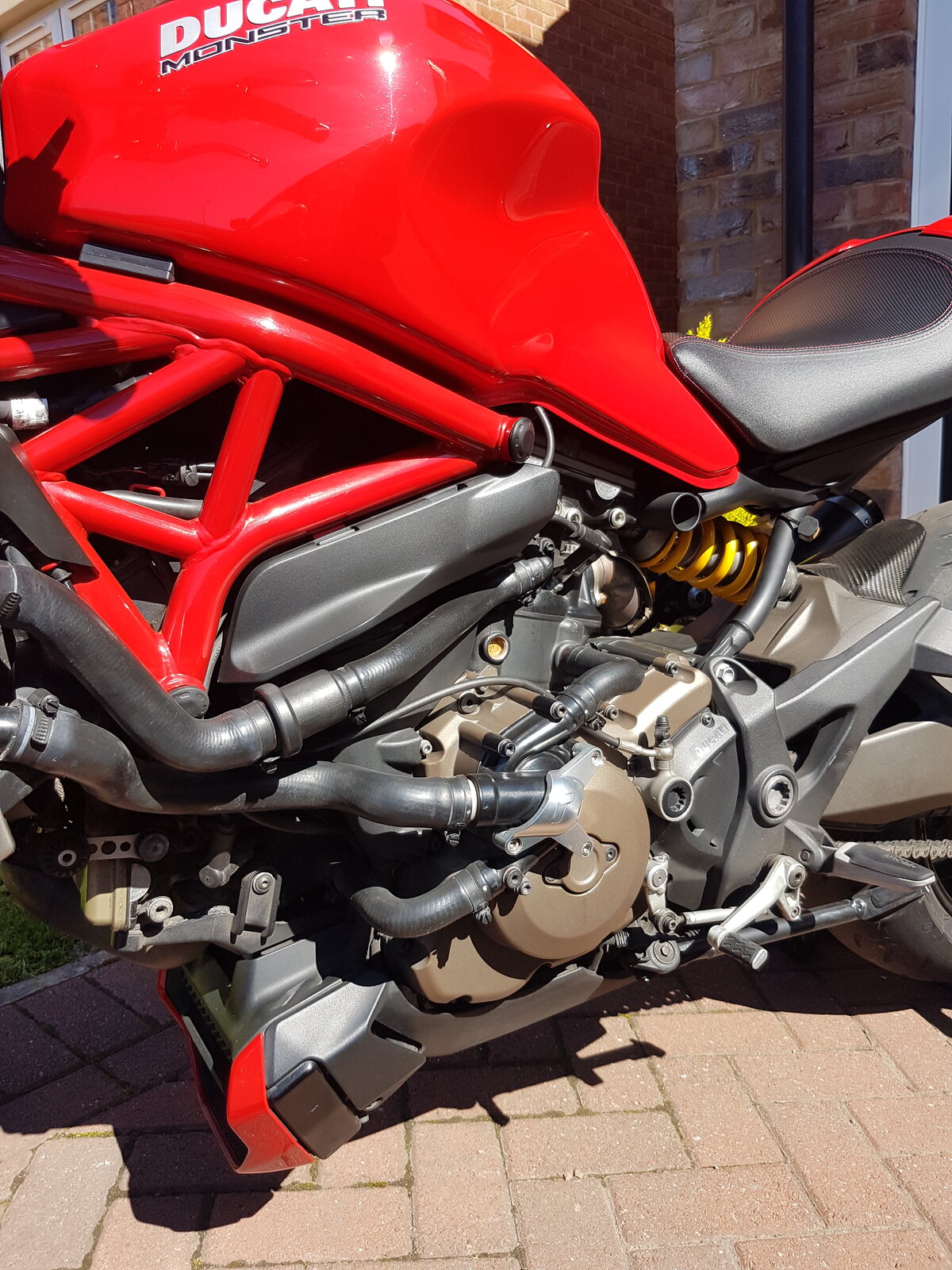 20190627_102854.jpg
