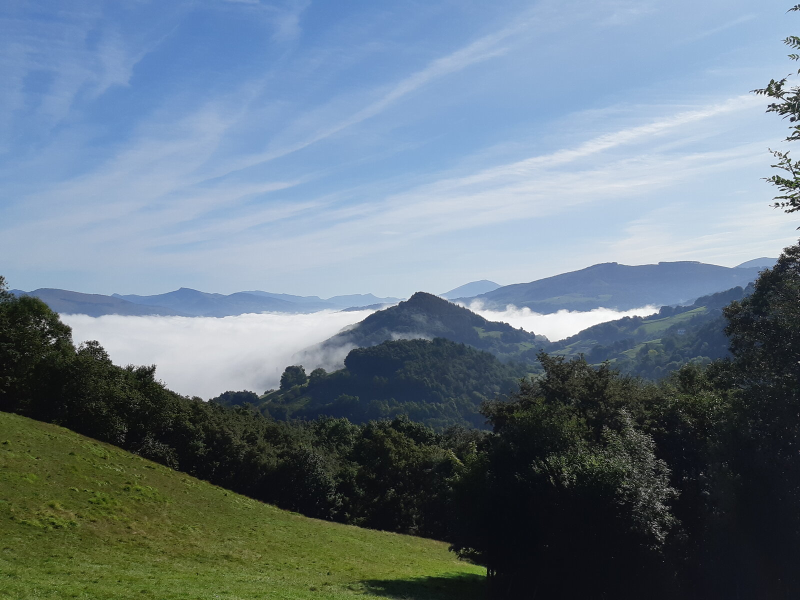 20190903_101410.jpg
