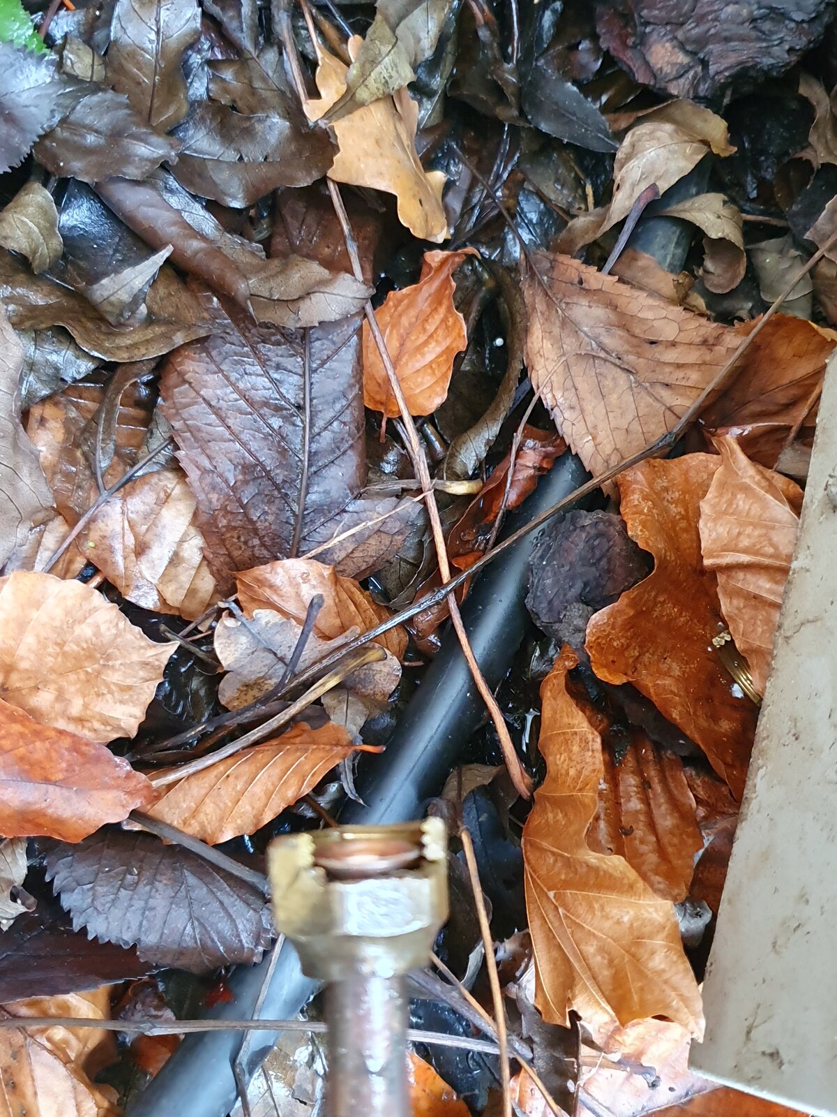 20191216_114130.jpg