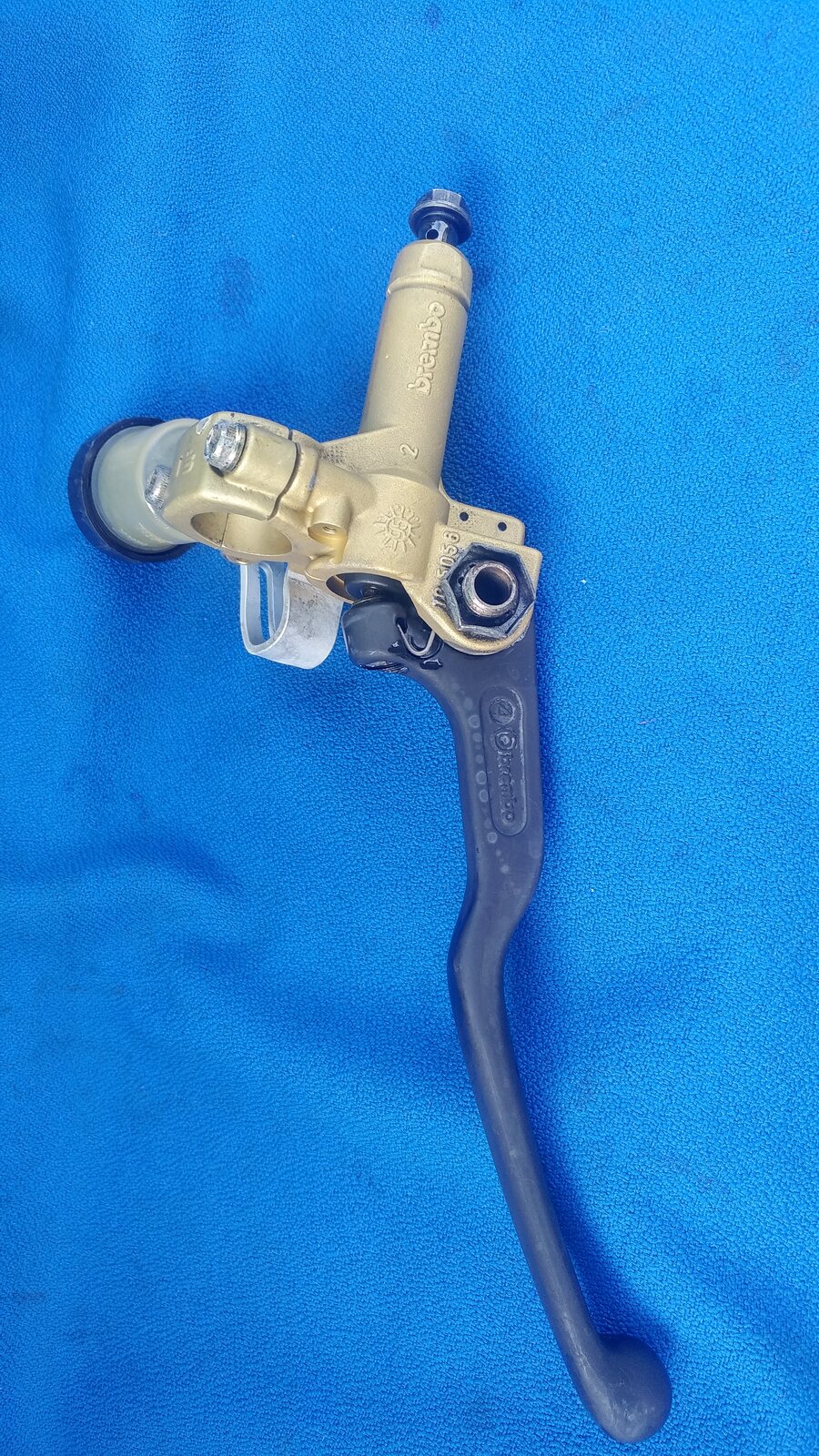 20200330_162312_HDR.jpg