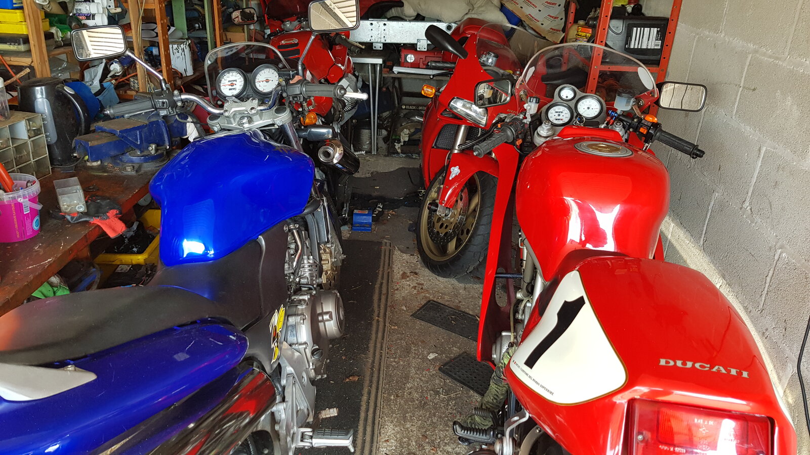 20200409_140337.jpg