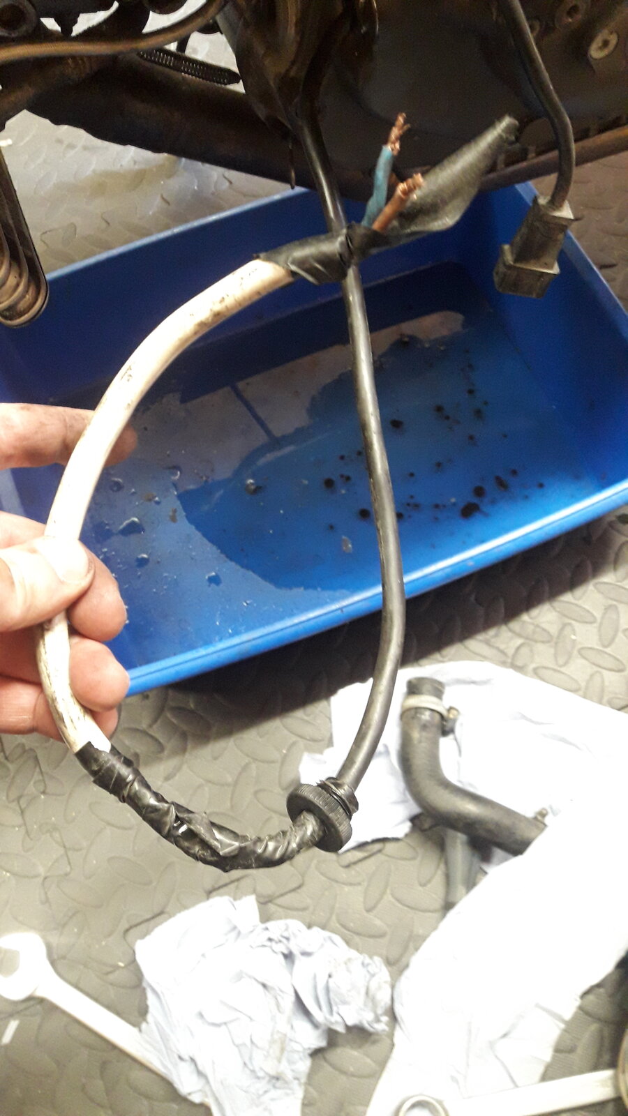 20200905_163931.jpg