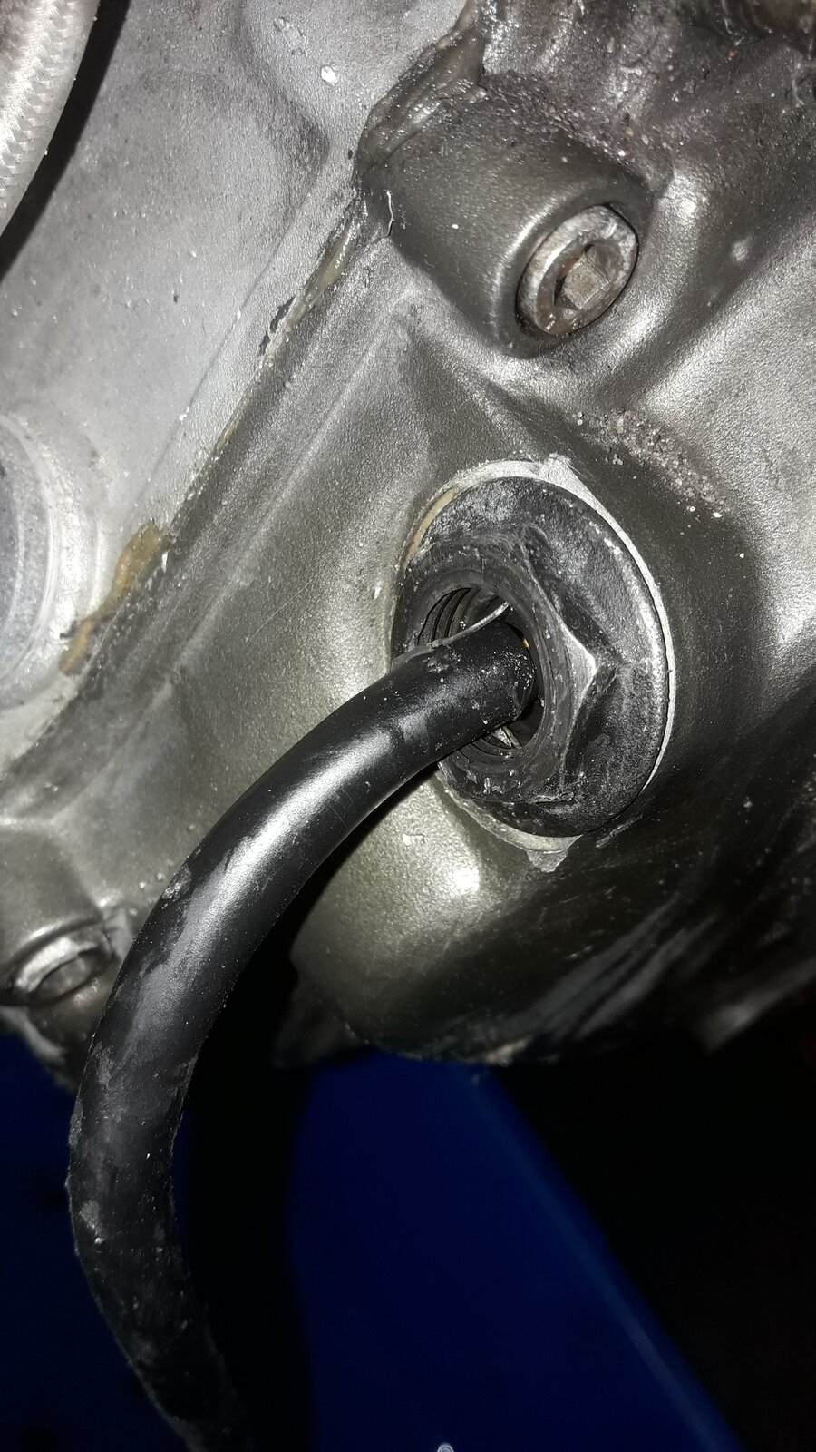 20200905_163939.jpg