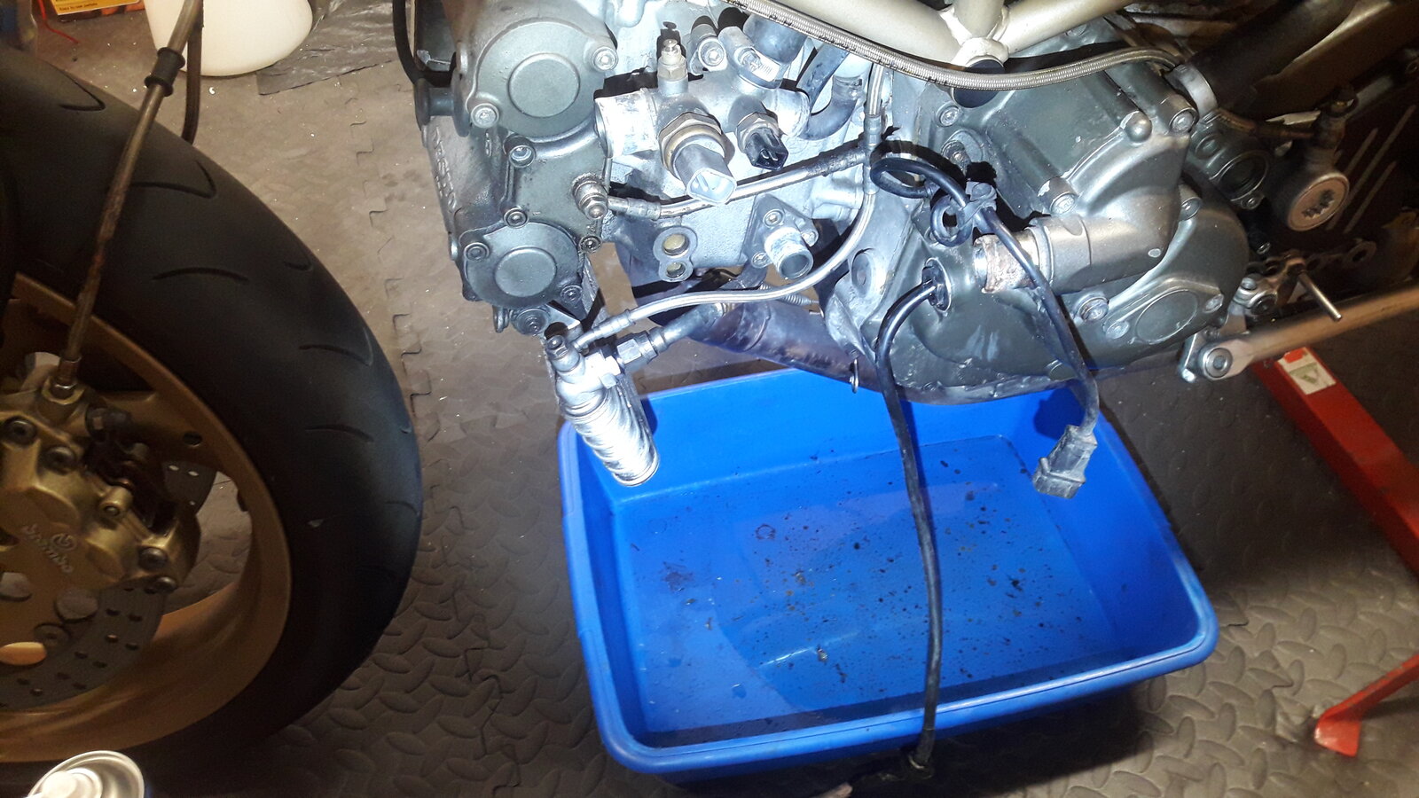 20200905_192421.jpg