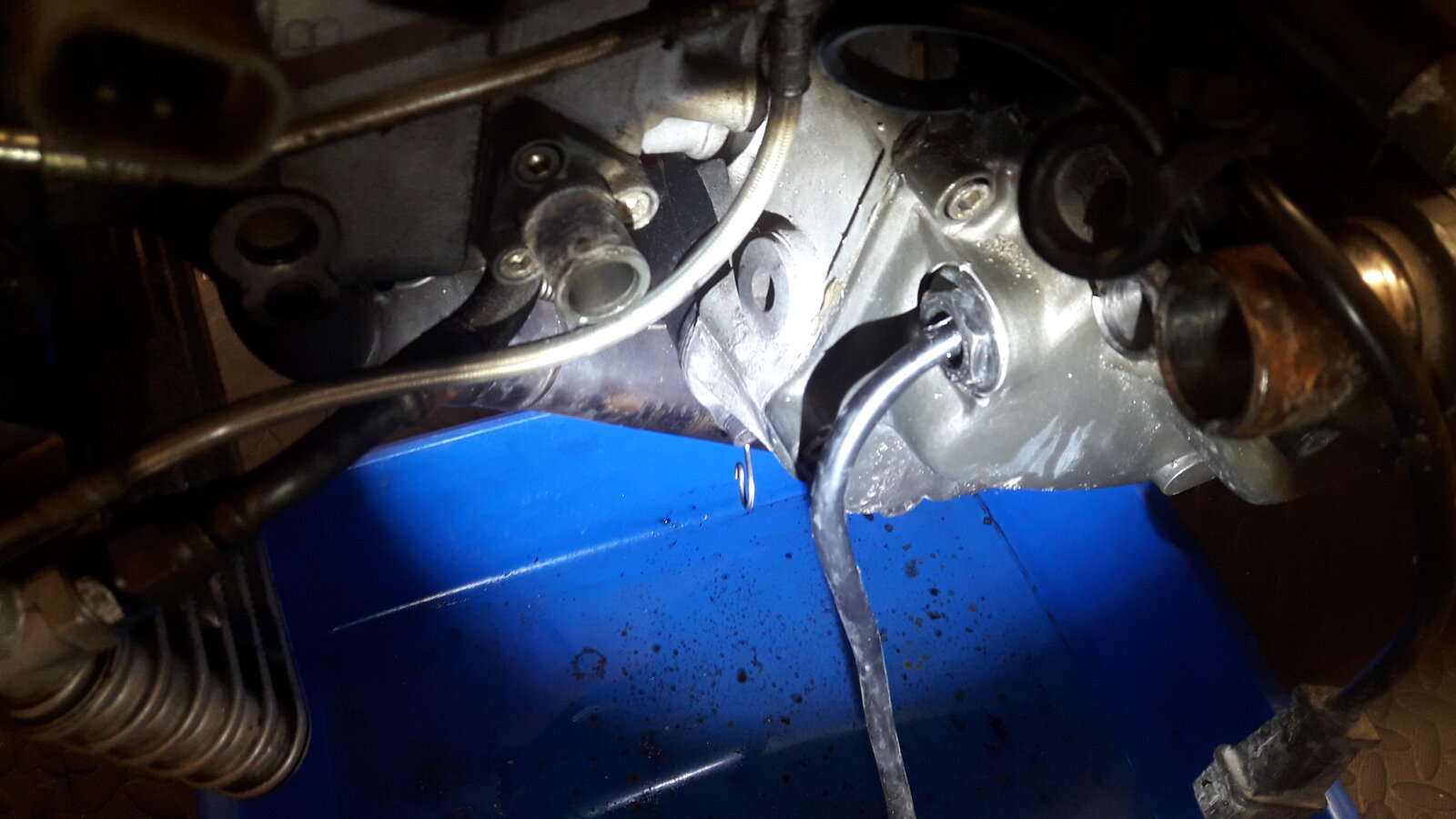 20200905_192426.jpg
