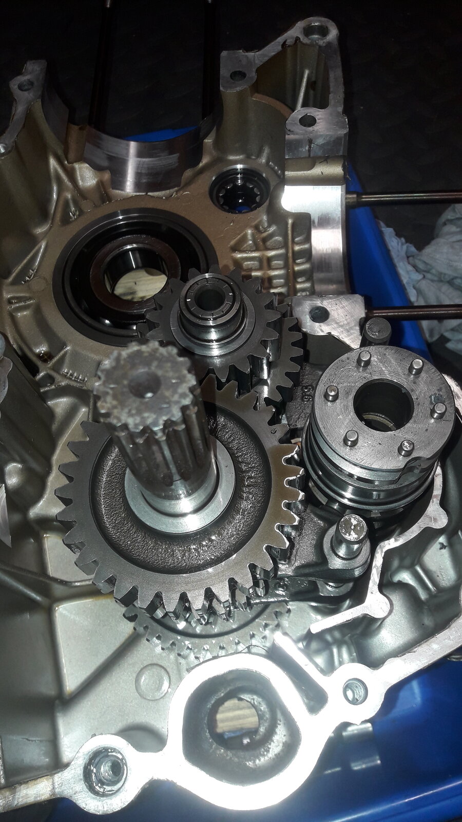 20201024_111618.jpg