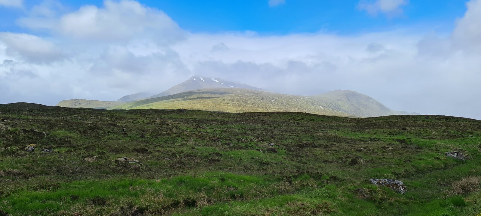 20210613_110943.jpg