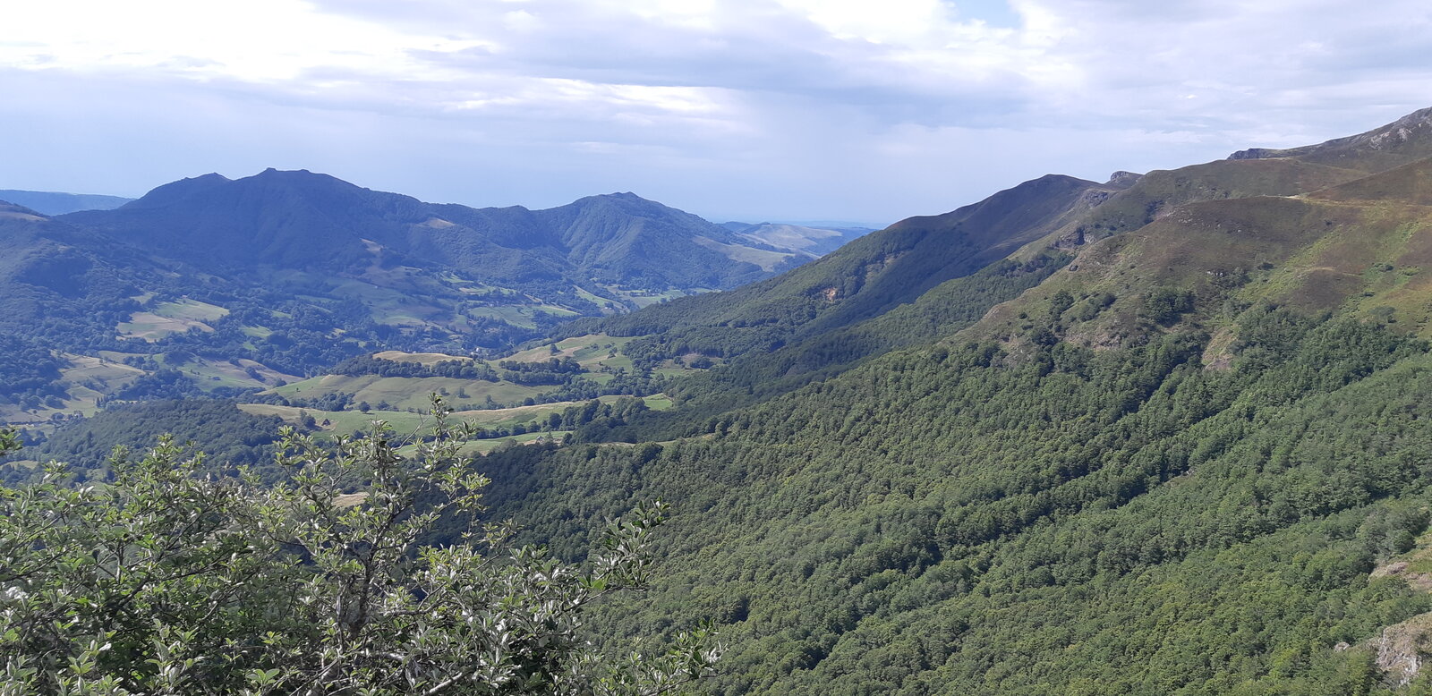 20210902_113233.jpg