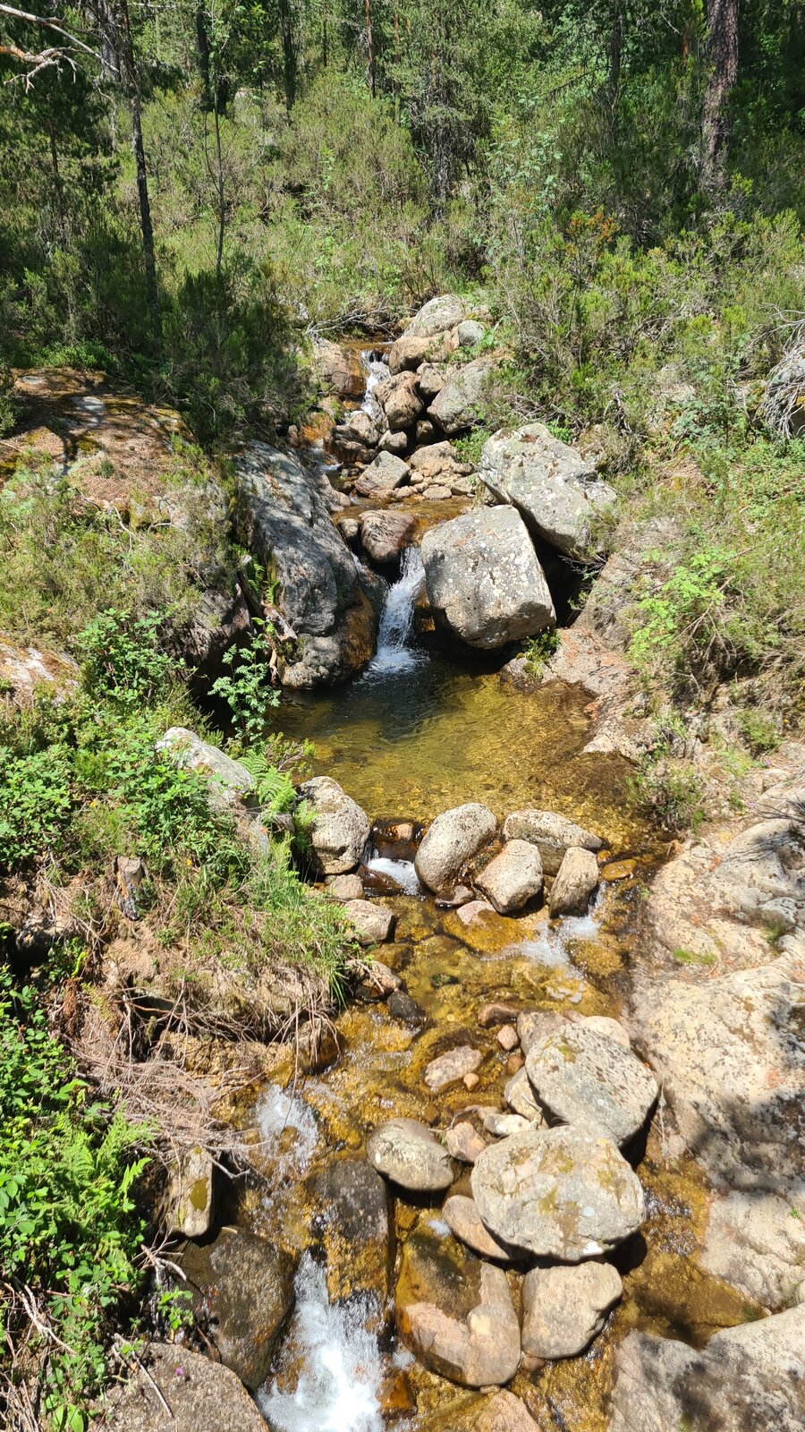 20250710_154637.jpg