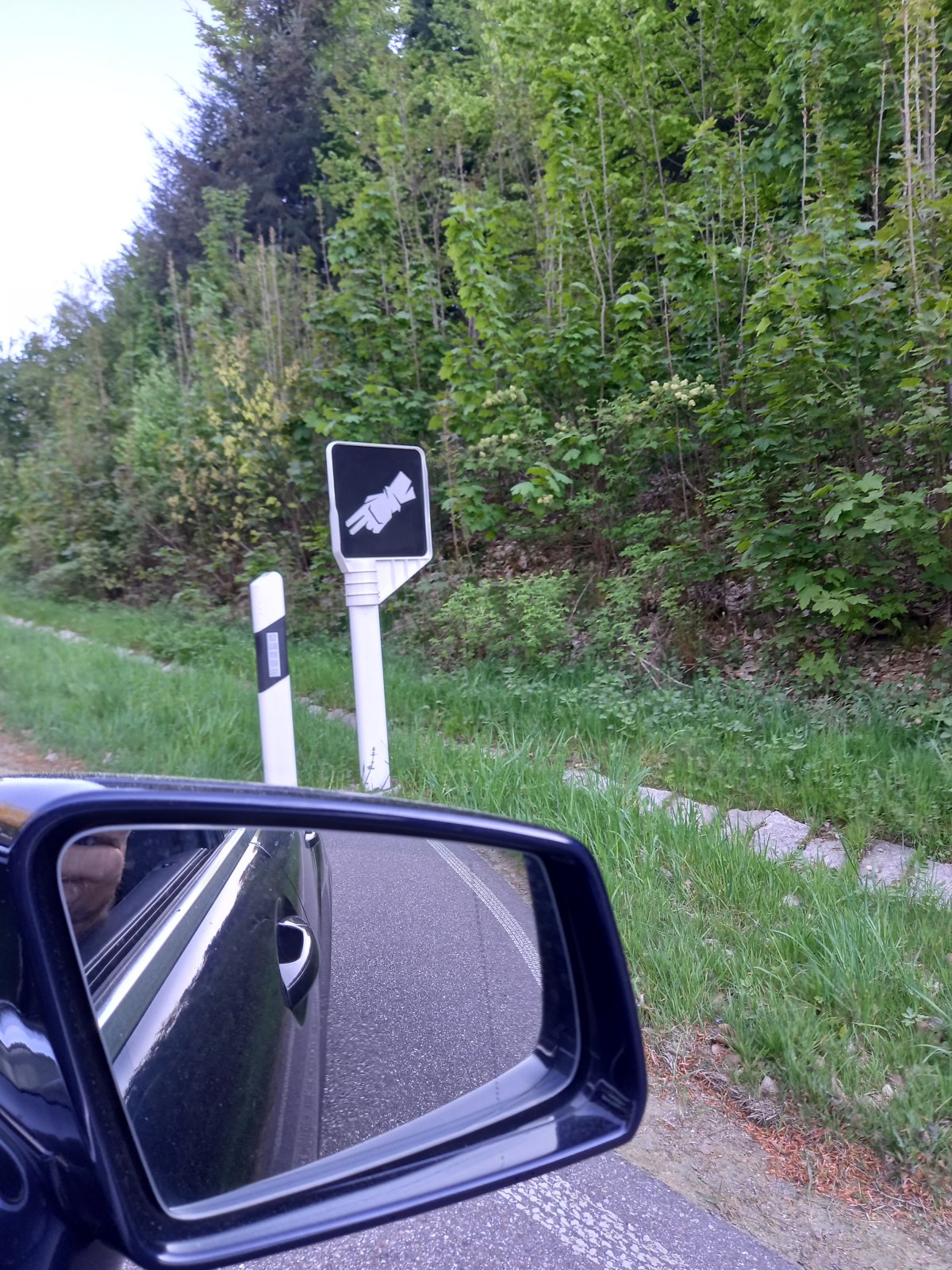 20260423_184135.jpeg