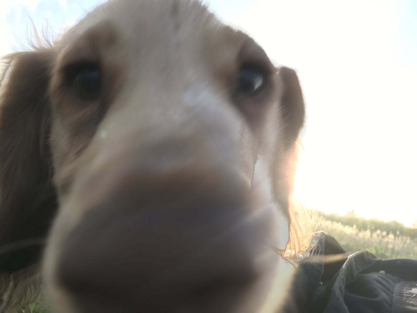 38619102-965A-4168-8AC4-2B432A02271A.jpeg