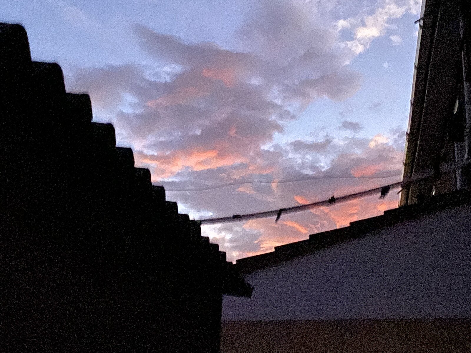 3A49D773-E0C5-43DC-927C-CFF8167BFB4C.jpeg