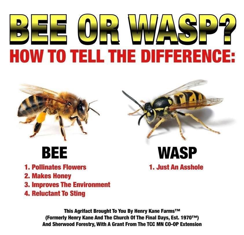 422cff9a24b6243da87f5ca89f8bfe96.jpg