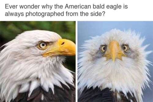 465662099_24002405069346557_7396855801072720998_n.jpg