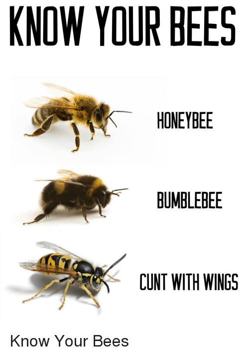 47A1E782-0222-46FE-8DFA-057E19292198.png