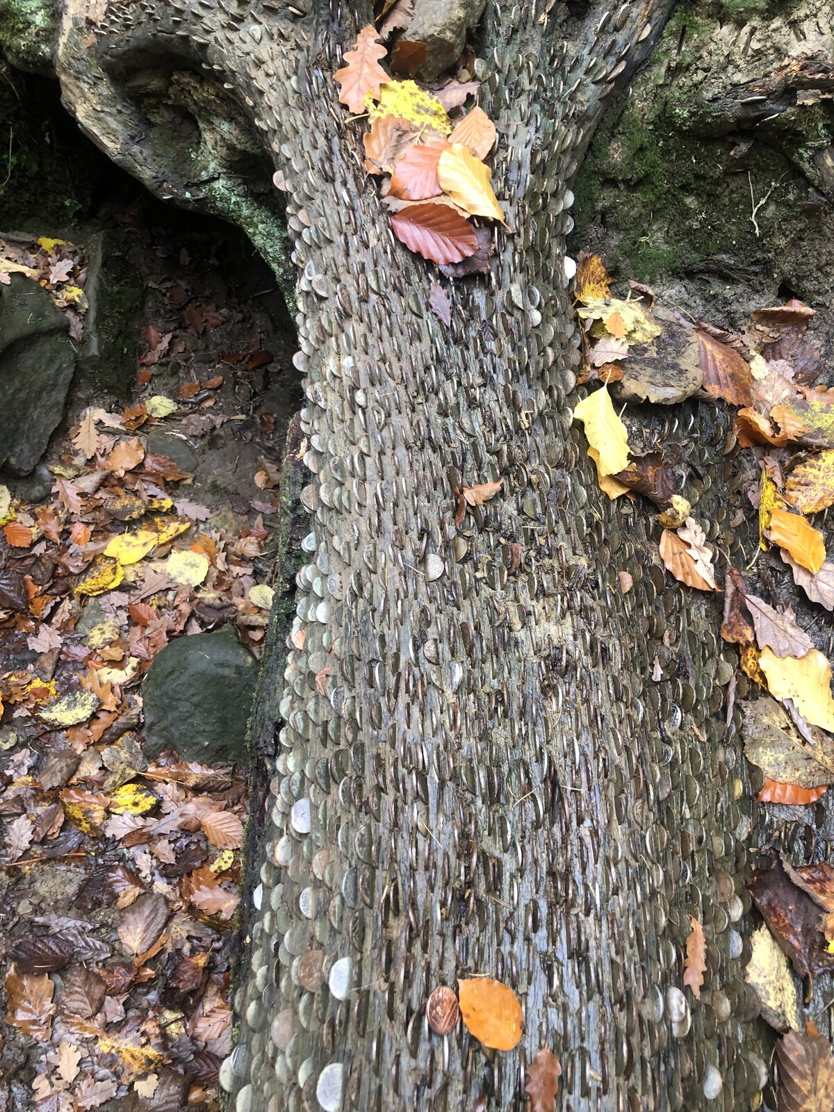 50E7EF0C-575B-4B30-ABAD-090857C6D386.jpeg