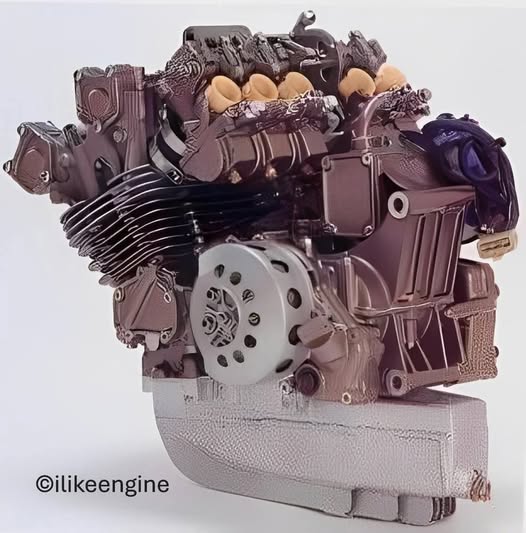 523474539_4343950389165787_7664372462732416236_n.jpg