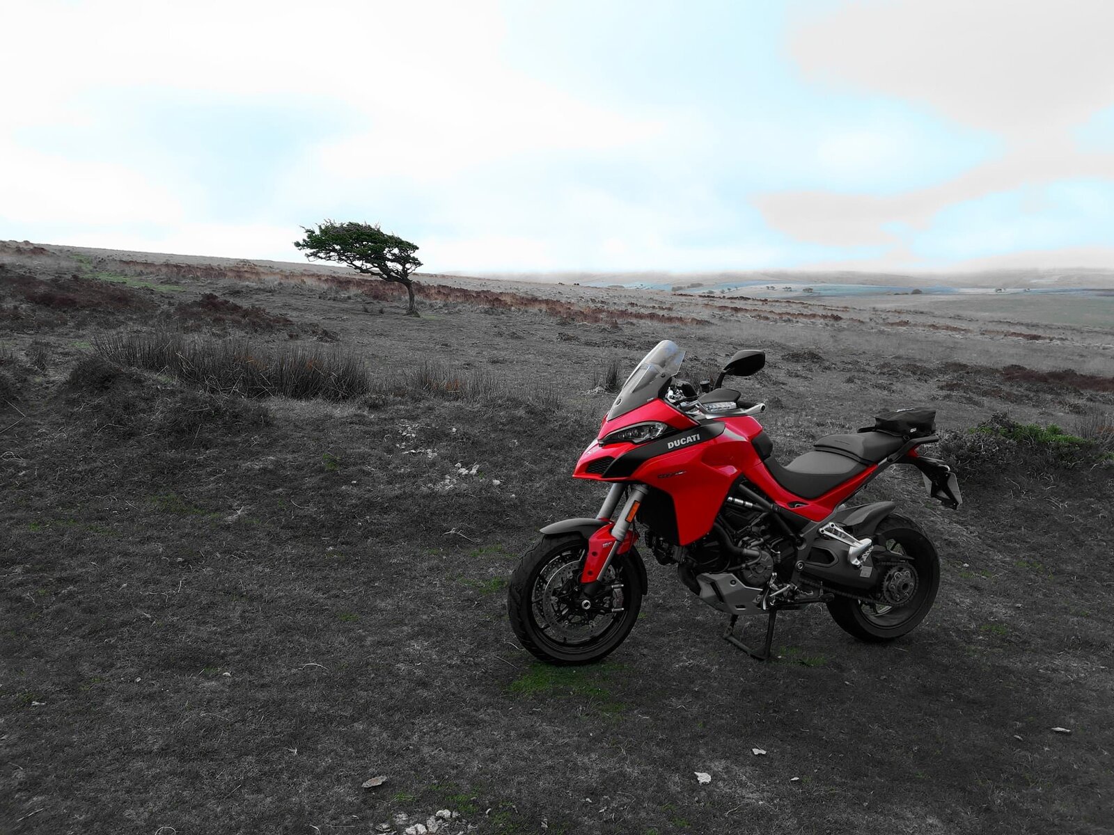 673E06BB-5B3E-4258-9D33-D12212759D14.jpeg