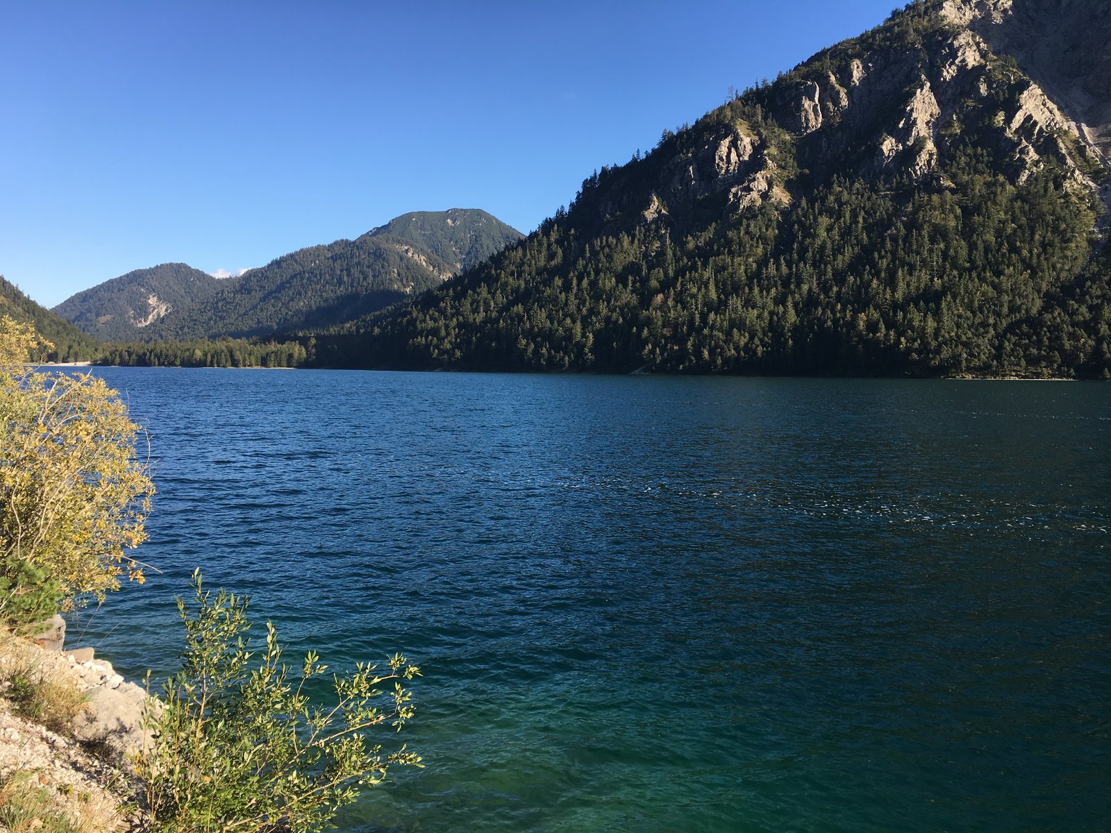 73358500-4F6A-449A-9F40-2968AF1DF6E6.jpeg