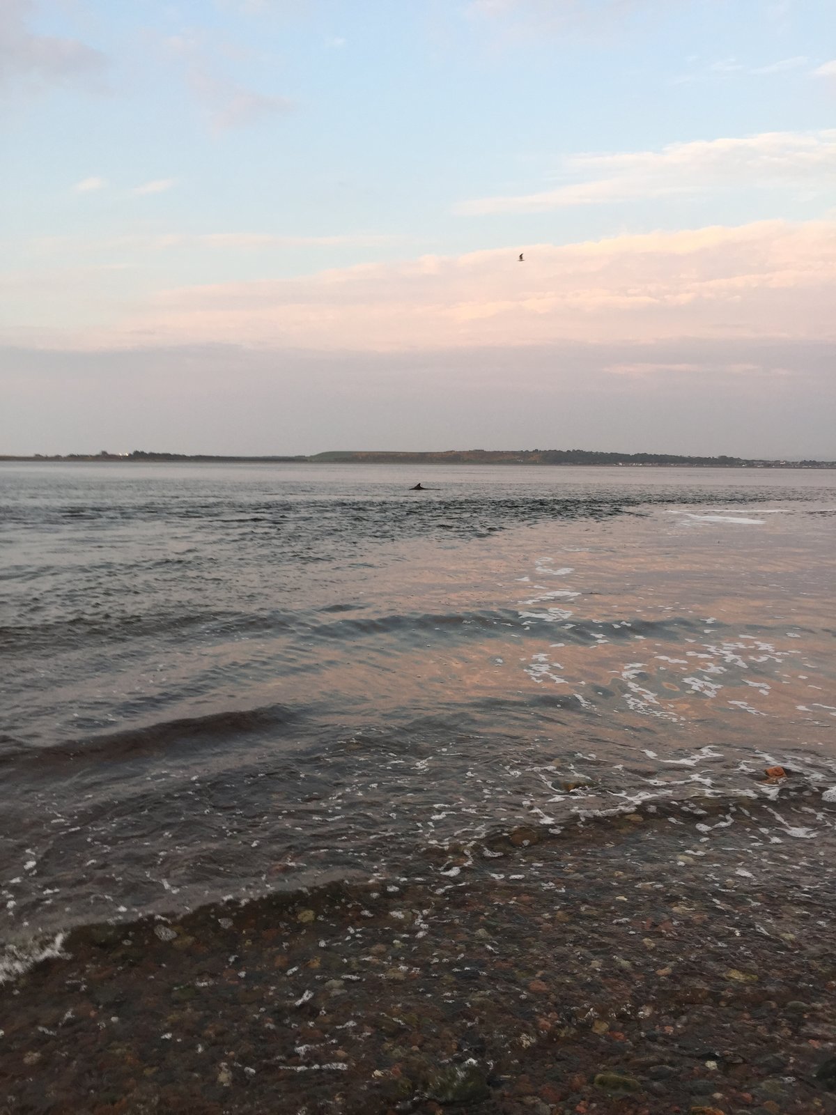 764F223B-4BC1-4C7A-8BFE-F82CA6317D88.jpeg