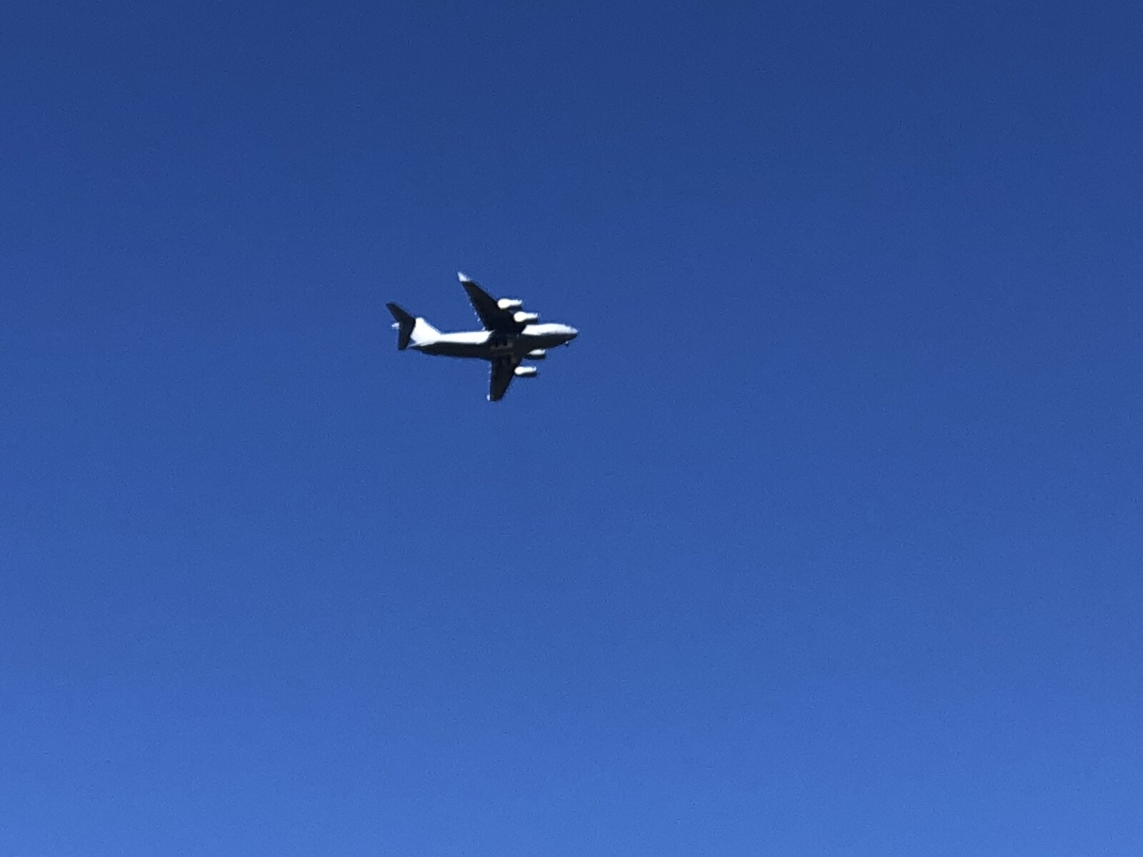7E506732-AD4D-4931-9F04-D07B31A9C924.jpeg