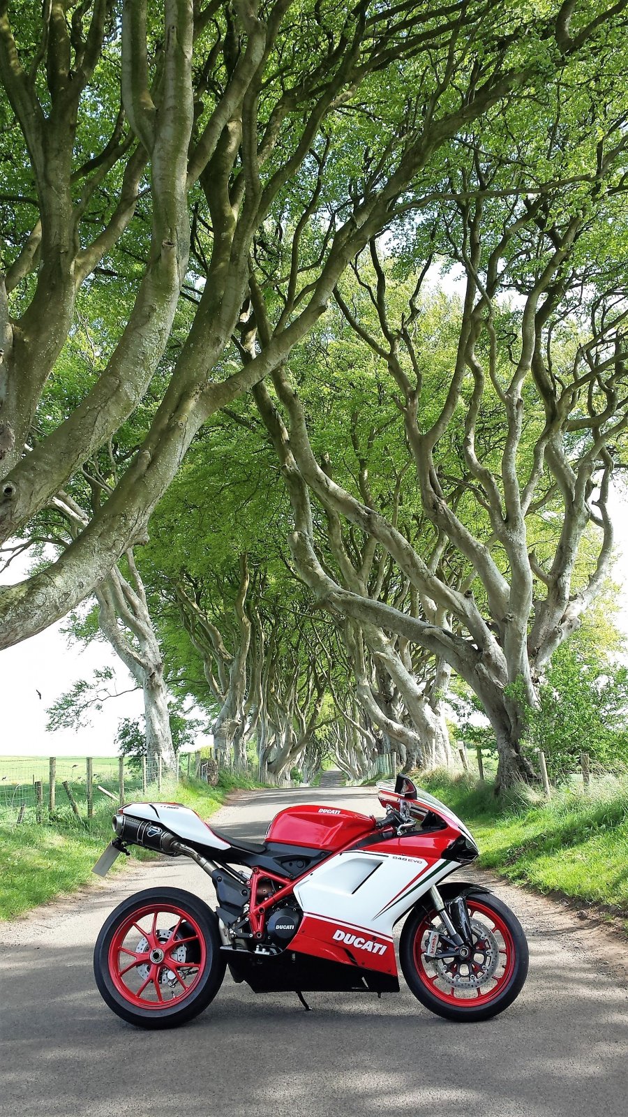 848 Evo Tricolore.jpg